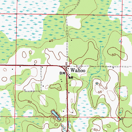 Topographic Map of Wahoo, FL