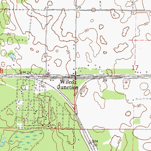Topographic Map of Wilcox Junction, FL