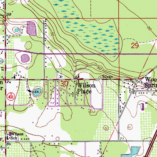 Topographic Map of Wilson Place, FL
