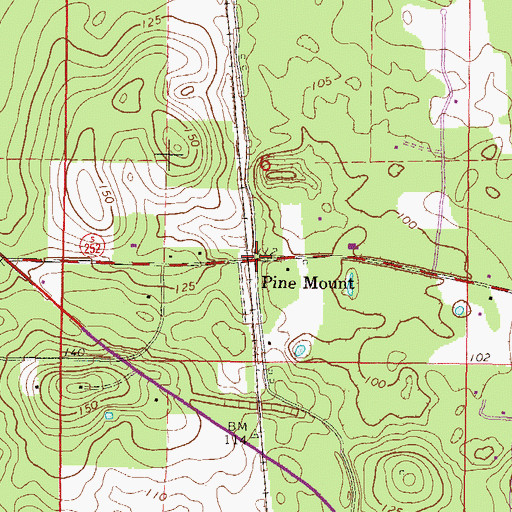 Topographic Map of Pine Mount, FL