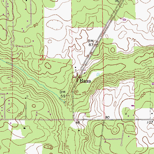 Topographic Map of Bass, FL