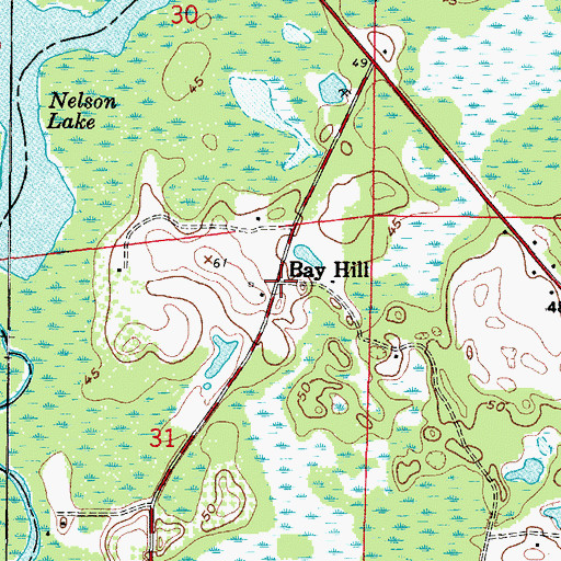 Topographic Map of Bay Hill, FL