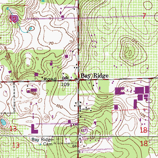 Topographic Map of Bay Ridge, FL