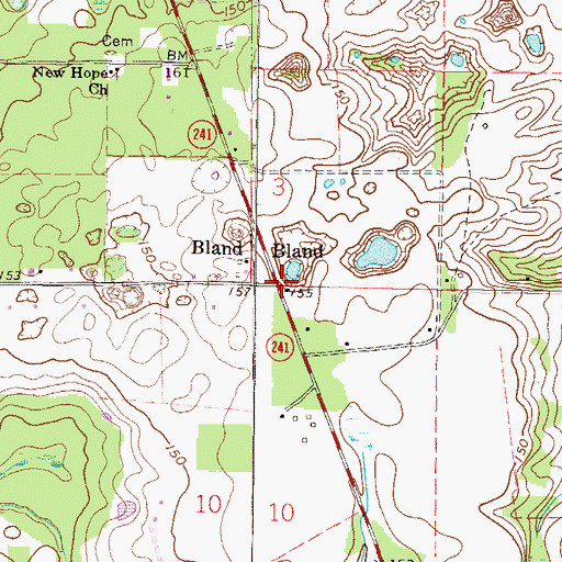 Topographic Map of Bland, FL