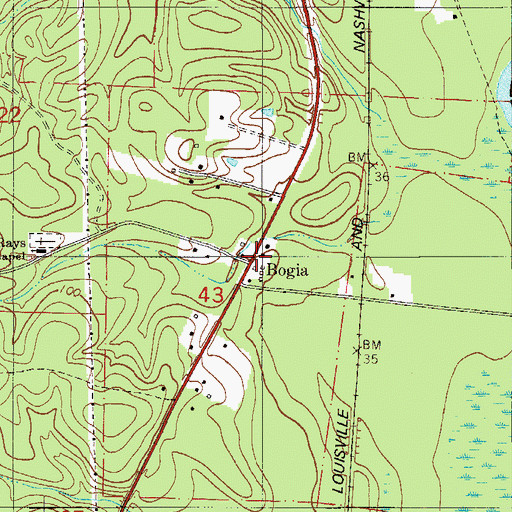 Topographic Map of Bogia, FL