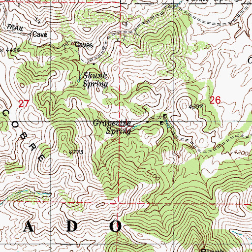Topographic Map of Grapevine Spring, AZ