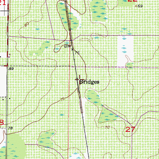 Topographic Map of Bridges, FL