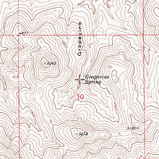 Topographic Map of Grapevine Spring, AZ