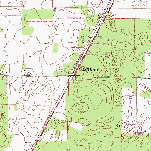 Topographic Map of Cadillac, FL
