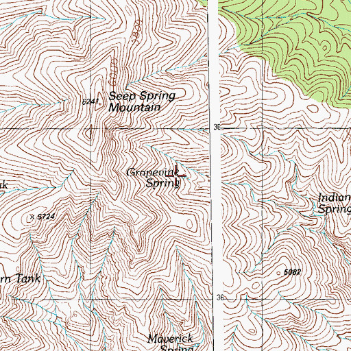 Topographic Map of Grapevine Spring, AZ
