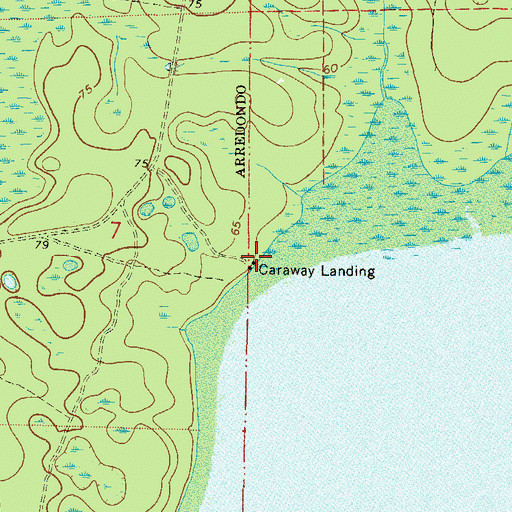 Topographic Map of Caraway Landing, FL