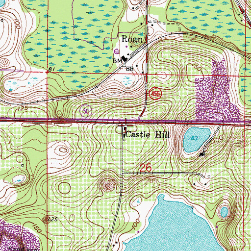 Topographic Map of Castle Hill, FL