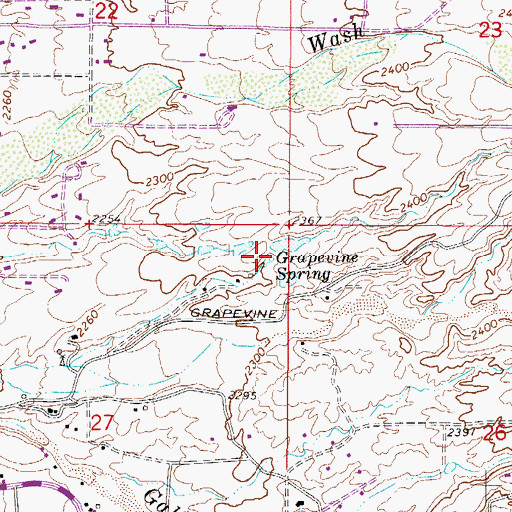 Topographic Map of Grapevine Spring, AZ