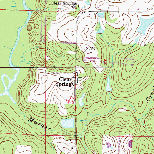 Topographic Map of Clear Springs, FL