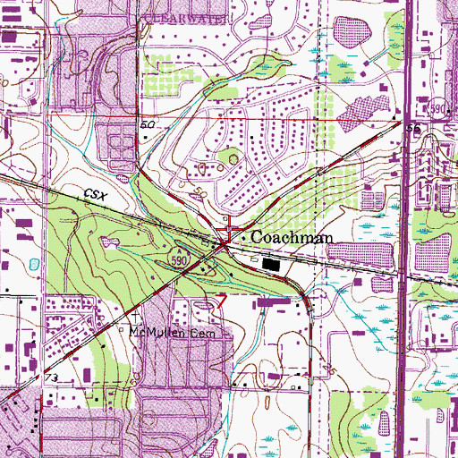 Topographic Map of Coachman, FL