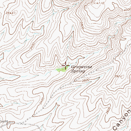 Topographic Map of Grapevine Spring, AZ