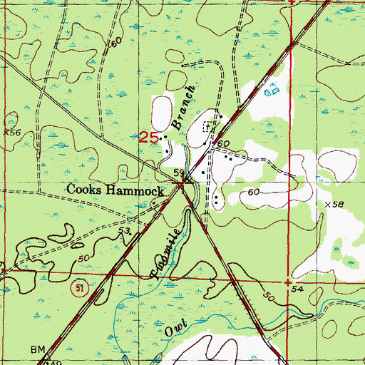 Topographic Map of Cooks Hammock, FL