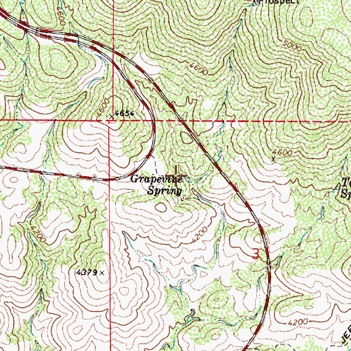 Topographic Map of Grapevine Spring, AZ