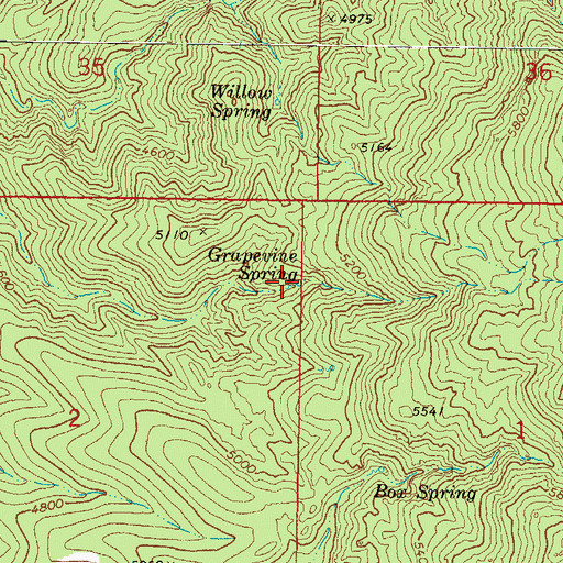 Topographic Map of Grapevine Spring, AZ