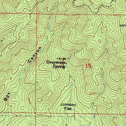 Topographic Map of Grapevine Spring, AZ