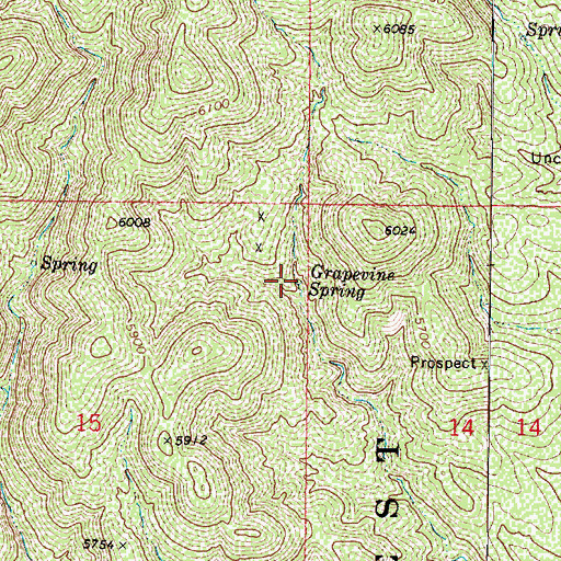 Topographic Map of Grapevine Spring, AZ