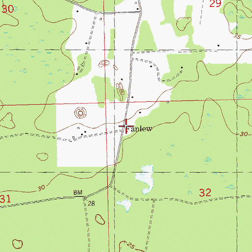 Topographic Map of Fanlew, FL