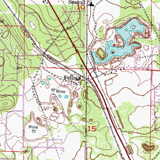 Topographic Map of Felicia, FL