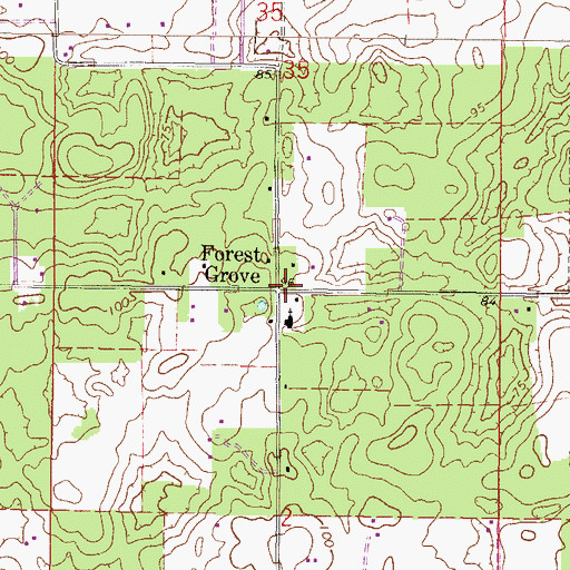 Topographic Map of Forest Grove, FL