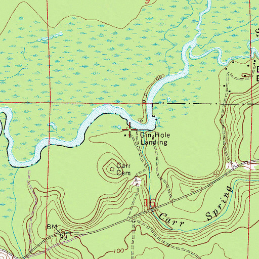 Topographic Map of Gin Hole Landing, FL