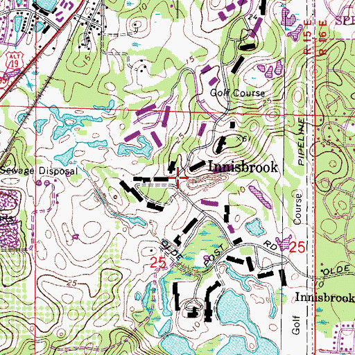 Topographic Map of Innisbrook, FL
