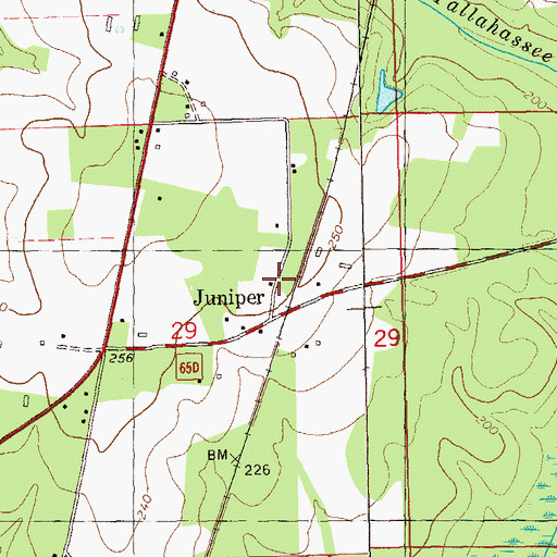 Topographic Map of Juniper, FL