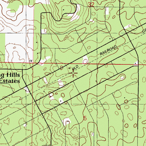 Topographic Map of Leroy (historical), FL
