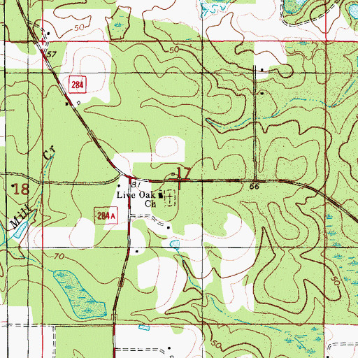 Topographic Map of Live Oak, FL