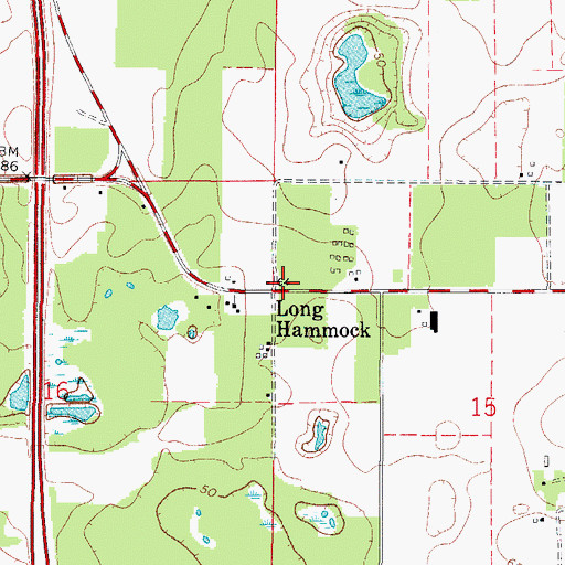 Topographic Map of Long Hammock, FL