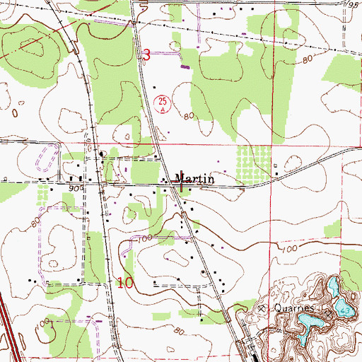 Topographic Map of Martin, FL