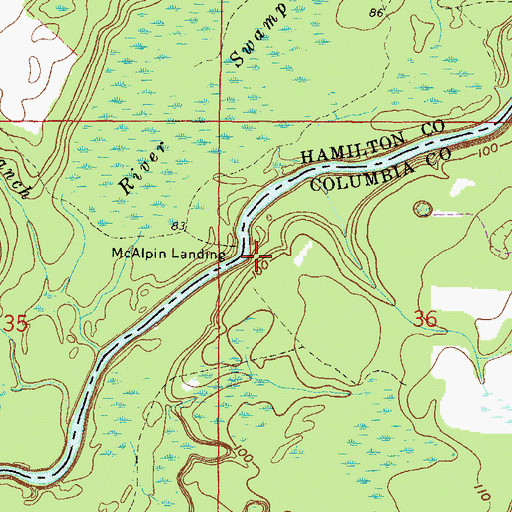 Topographic Map of McAlpin Landing, FL