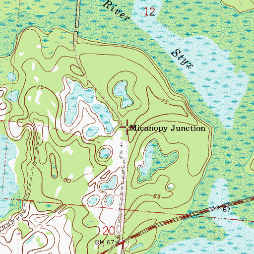 Topographic Map of Micanopy Junction, FL