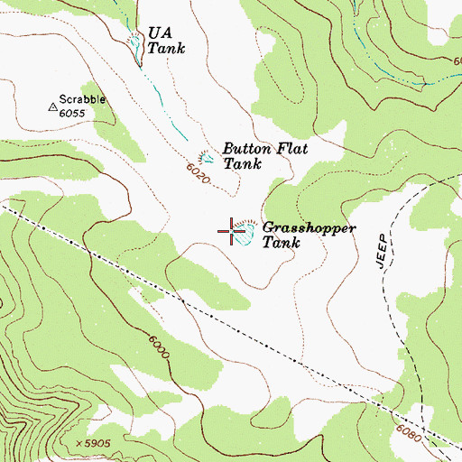 Topographic Map of Grasshopper Tank, AZ