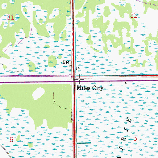 Topographic Map of Miles City, FL
