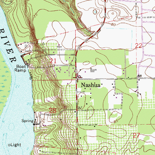 Topographic Map of Nashua, FL