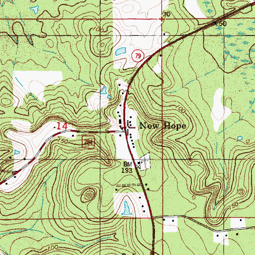 Topographic Map of New Hope, FL