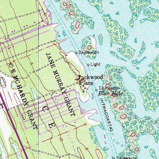 Topographic Map of Packwood Place, FL