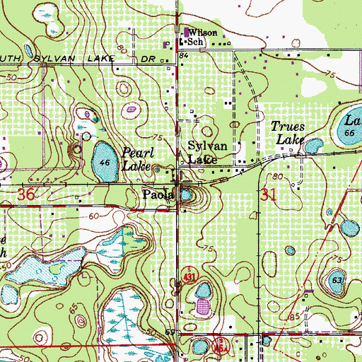 Topographic Map of Paola, FL