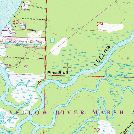 Topographic Map of Pine Bluff, FL