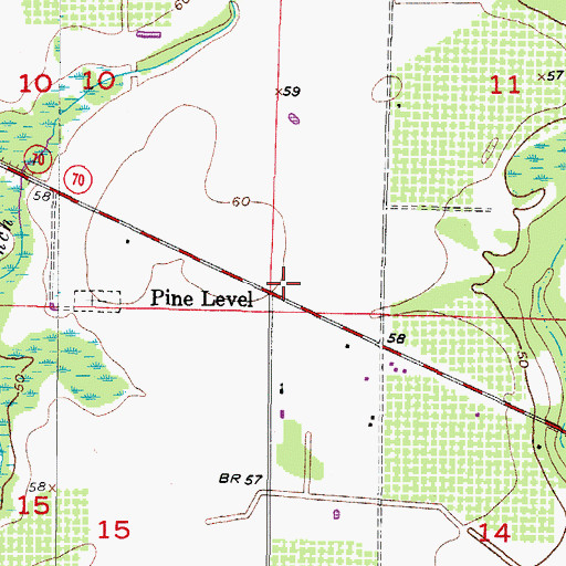Topographic Map of Pine Level, FL