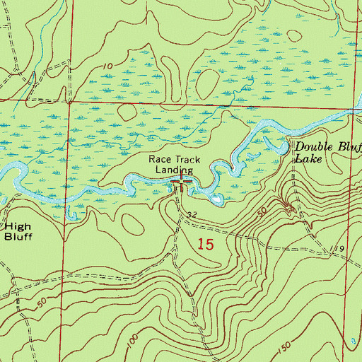 Topographic Map of Race Track Landing, FL