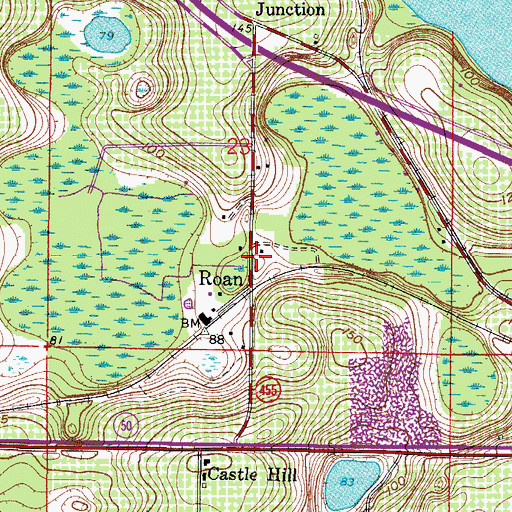 Topographic Map of Roan, FL