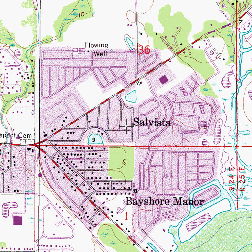 Topographic Map of Salvista, FL