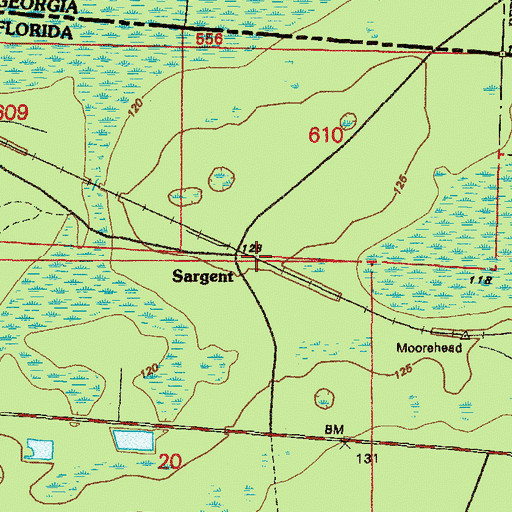 Topographic Map of Sargent, FL