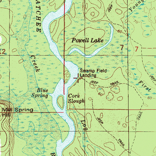 Topographic Map of Swamp Field Landing, FL